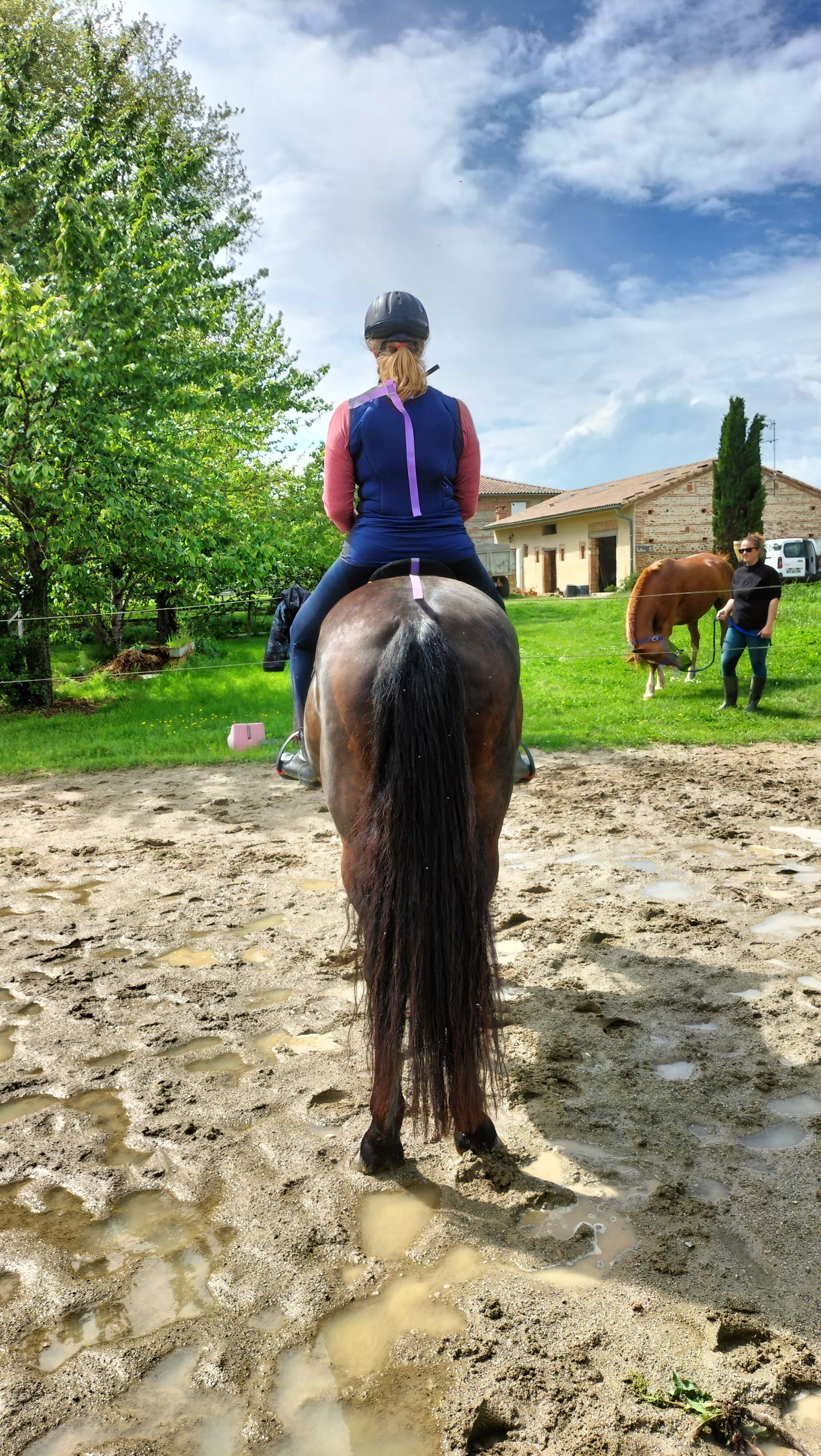 Asymétries cheval cavalier
