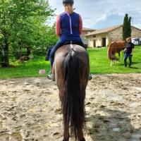 Asymétries cheval cavalier