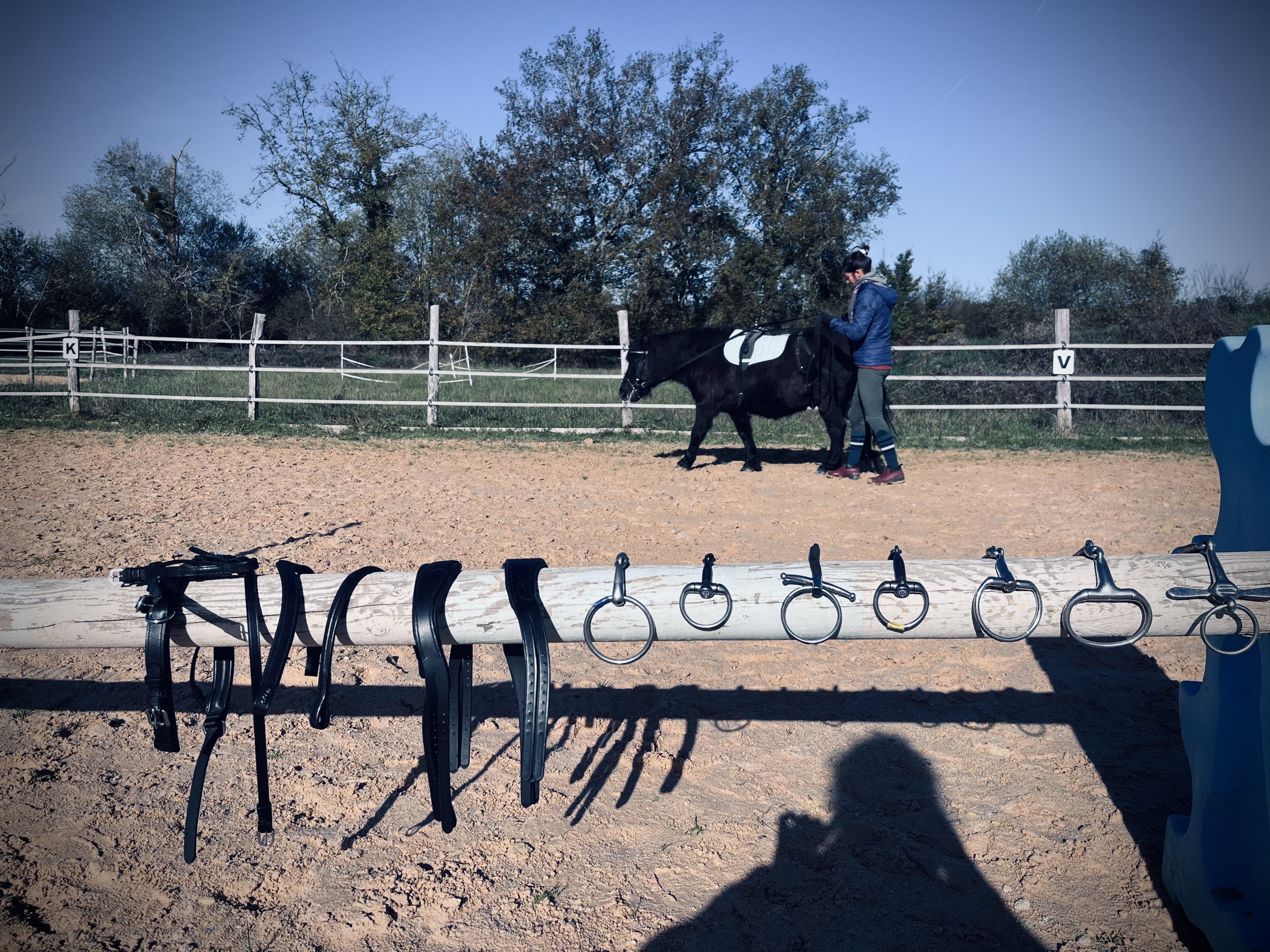 séance poney