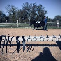 séance poney