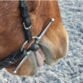 L'épaisseur du mors de votre cheval lui permet il de fermer sa bouche ?