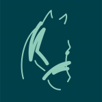 ethic equine